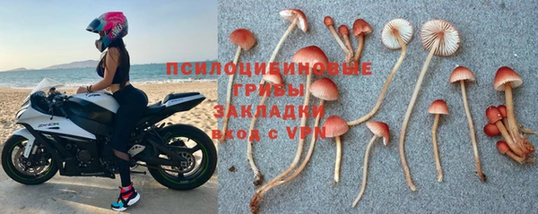 дмт Магадан