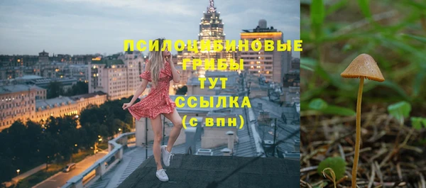 дмт Магадан