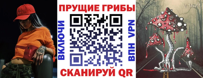 Псилоцибиновые грибы Cubensis Копейск