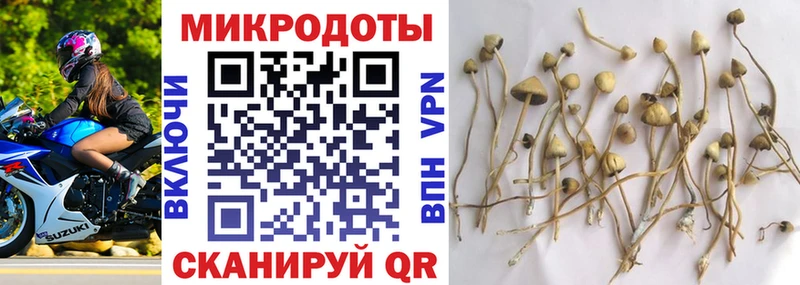 Галлюциногенные грибы Cubensis Копейск