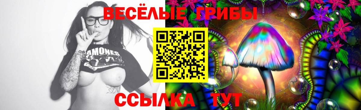 Галлюциногенные грибы GOLDEN TEACHER  Вход с VPN  Копейск 