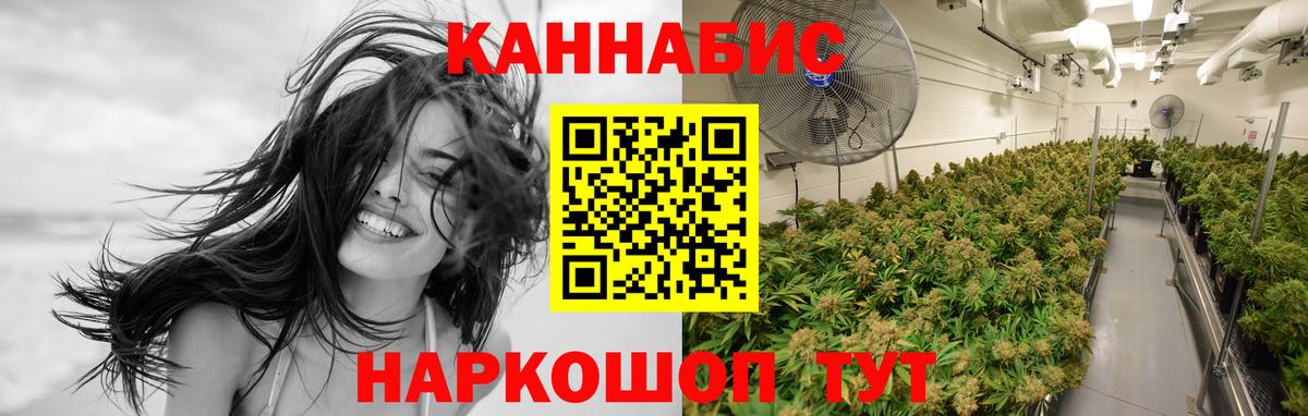 Бошки марихуана Amnesia Копейск